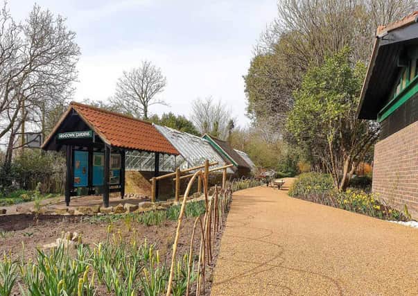 Highdown Gardens will reopen on June 2 after its £1million revamp