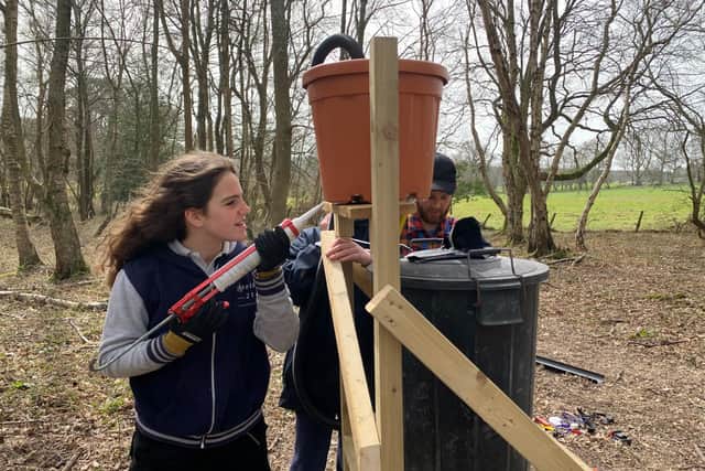 Pupils at Atelier 21 Future School went off timetable to build a base camp area in the forest at Colgate. Pictures courtesy of Sarah Leahy