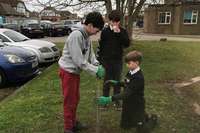 Concordia helped year-seven students at The Angmering School plant 100 trees