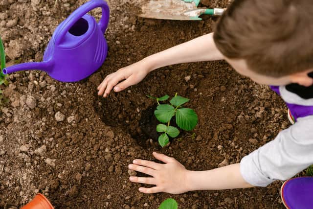 Gardening is a great way to teach your children how to care for a plant and keep it healthy.