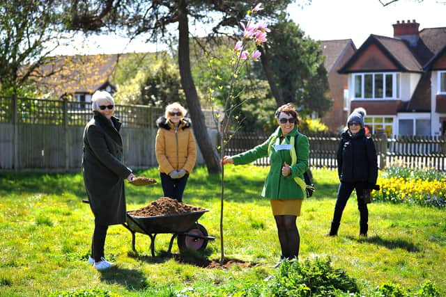 Tree planting for the diamond anniversary of the National Women's Register. Picture: Steve Robards SR2104221