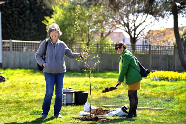 Penny Joseph and Cathy Ford tree planting for International Neighbours. Picture: Steve Robards SR2104222