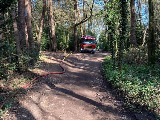 Fire crews at Midhurst Common (Credit: Midhurst Fire Station/WSFRS)