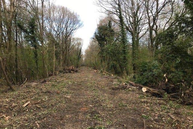 Tree clearance on the Bluebell Railway Line