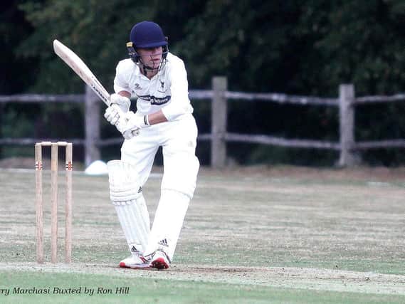 Harry  Marchesi bats for Buxted Park at Newick / Picture by Ron Hill