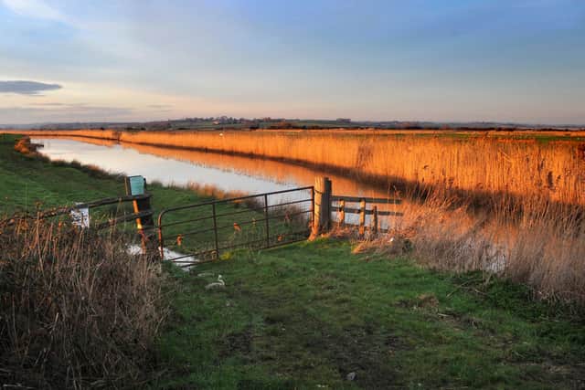 Waller's Haven on Pevensey Levels looking towards Herstmonceux in the late afternoon winter sun. January 20th 2014 E03185Q SUS-160324-160907001