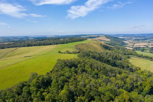 South Down National Park Harting Down, in West Sussex. Photograph: Sam Moore/ SDNPA