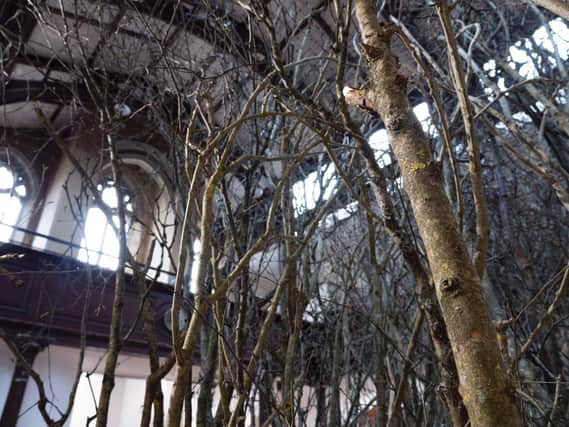 Fabrica: The Forked Forest Park. Pic by Tom Thistlethwaite
