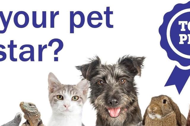 There is still time to enter the Top Pet competition