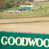 A new season on the flat is under way at Goodwood / Picture: Alan Crowhurst, Getty