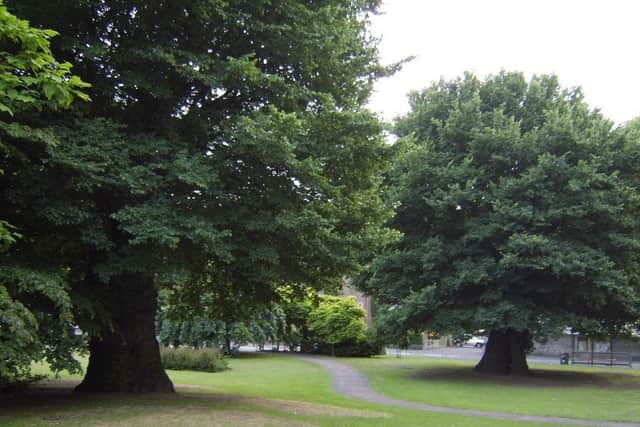 The Preston Twins had stood together in Preston Park for 400 years