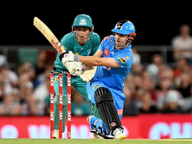 Travis Head in action for Adelaide Strikers / Picture: Getty
