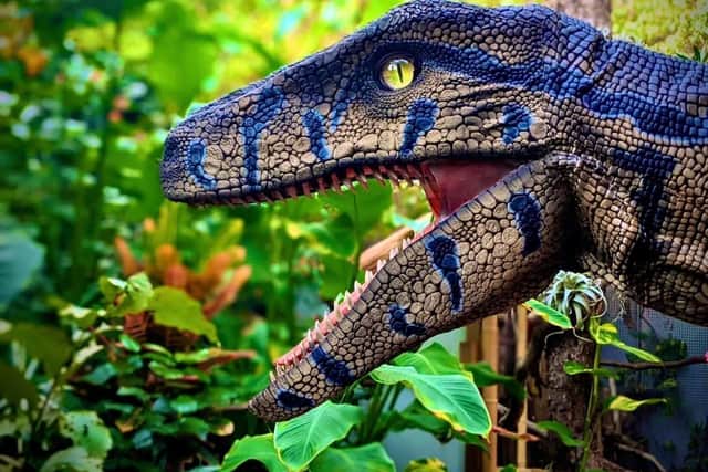 Dinomania