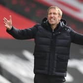 Albion boss Graham Potter has been linked with the job at Tottenham