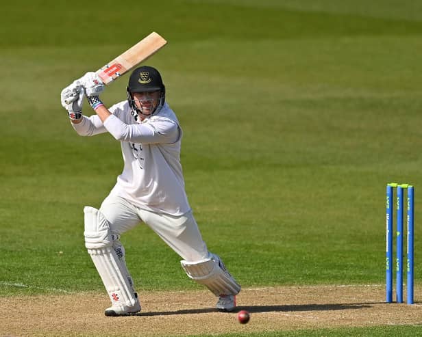Stiaan van Zyl's knock of 71 couldn't save Sussex from an innings defeat / Picture: Getty