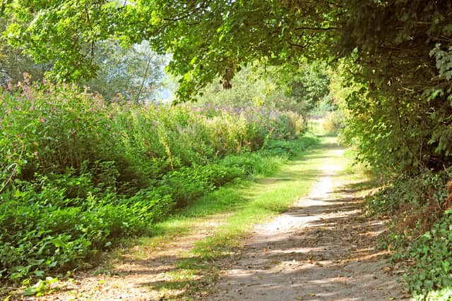 The Monarch's Way, an ancient trail from Worcester to Shoreham. Picture: Derek Martin