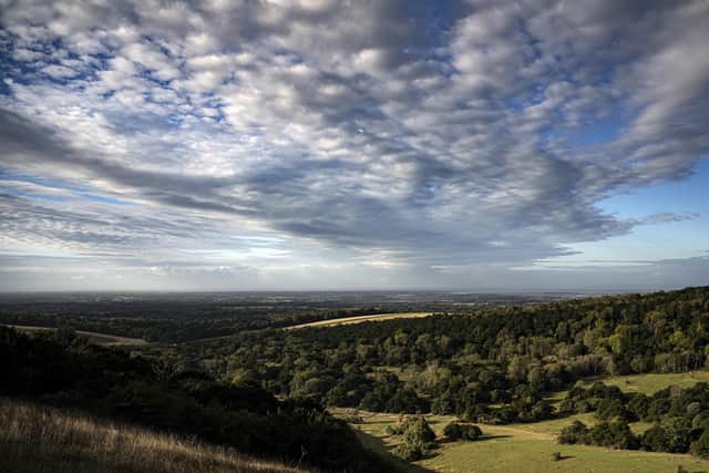 Explore ancient woodland at Kingley Vale (Credit: Jon Nicholson) SUS-210519-152140001