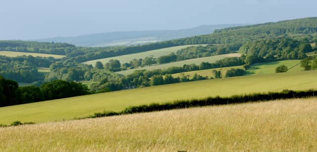 Sussex downs north of Chichester