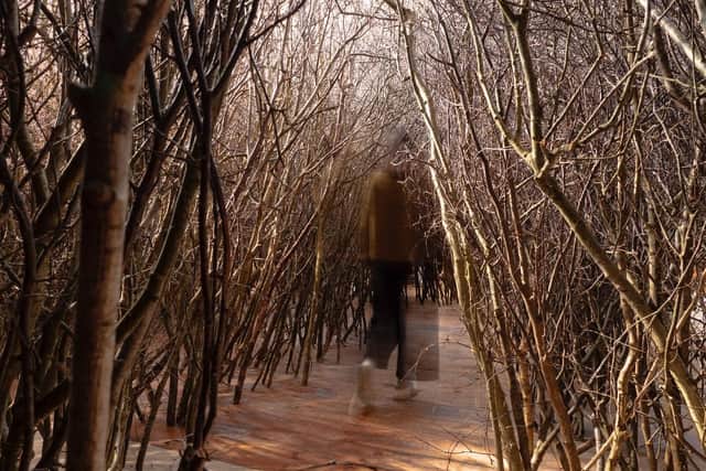 The Forked Forest Path at Fabrica. Photograph: Tom Thistlethwaite