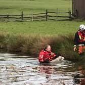 West Sussex Fire & Rescue Service saved Monty the ram from a pond in a farm off Horsted Lane in Sharpthorne. Picture: WSFRS