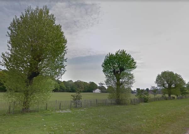 Trees on Bexhill Down in May 2019. Picture form Google Maps SUS-210521-092858001