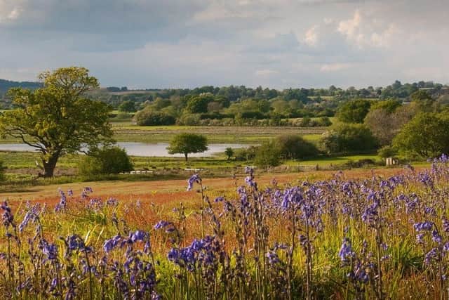 View from RSPB Pulborough Brooks Visitor Centre by David Andrews