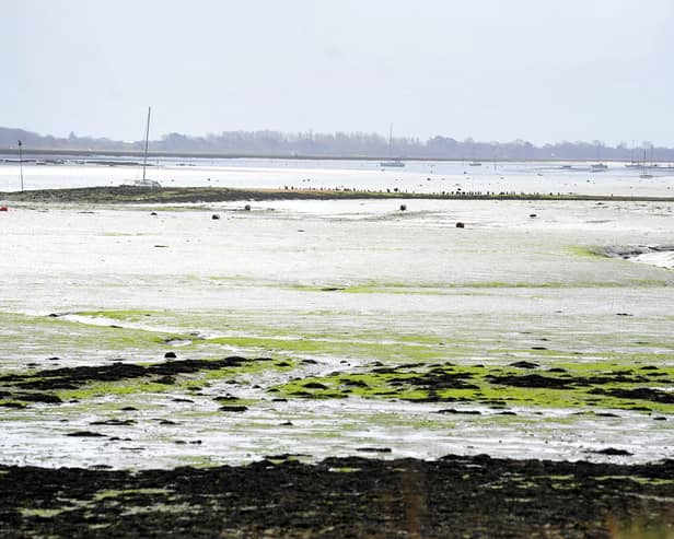Chichester Harbour at Prinsted. Picture by Steve Robards