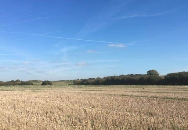 The proposed land. Photo from Wealden District Council. SUS-210526-172310001