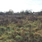 The former apple orchard site in Kirdford