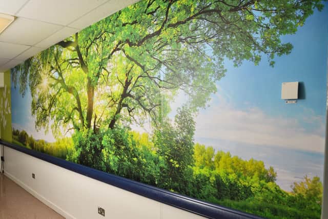 The entrance to Royal Surrey’s chemotherapy outpatient unit has been given a marvellous new makeover. Pictures courtesy of Royal Surrey County Hospital NHS Foundation Trust