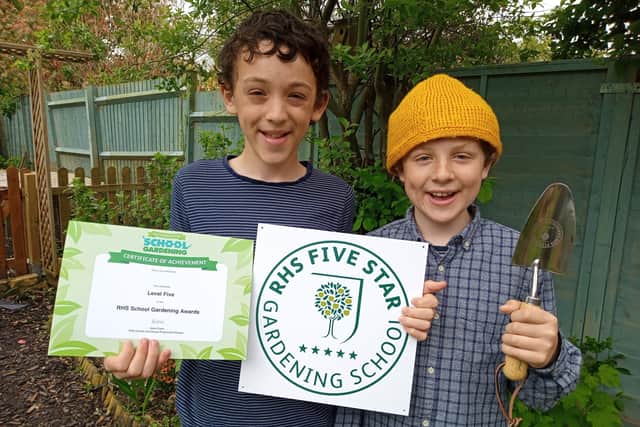 Brothers Ollie and Toby Hopwood, from Hastings, win gardening award SUS-210106-083023001
