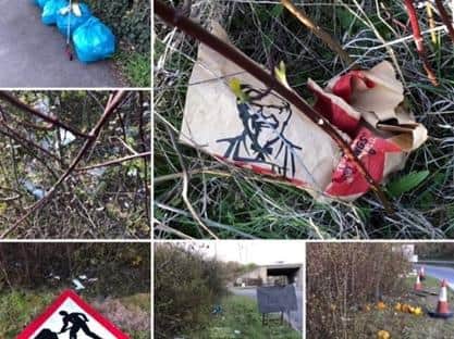 Roadside litter is a problem in the Horsham district and beyond