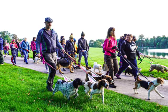 Big Dog Walk is coming to Borde Hill Garden this Sunday