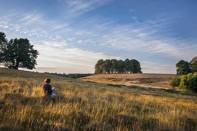 The courses are to take place at Petworth Park (Credit: National Trust Images/Andrew Butler) SUS-210206-103021001