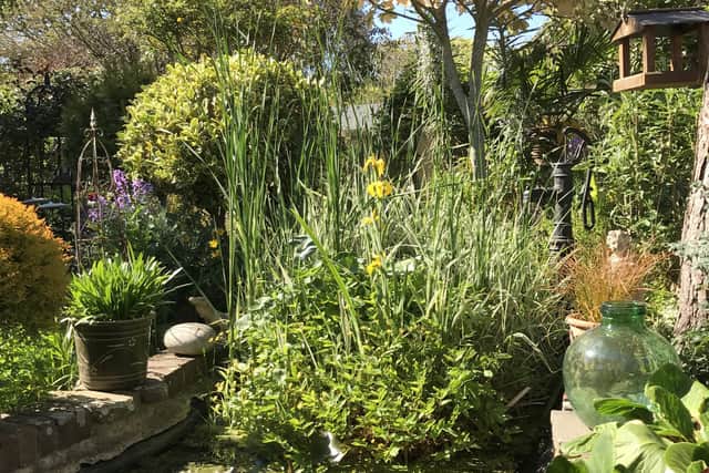 Channel View in Goring is a seaside Tudor cottage garden