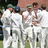 Lindfield celebrate a wicket against Burgess Hill
