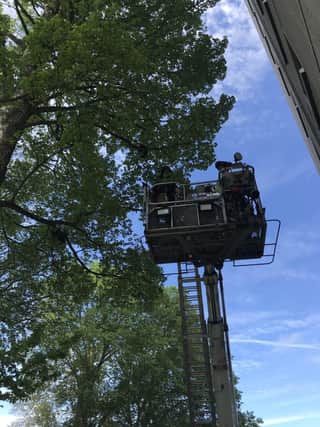 The aerial lift used to rescue the cat