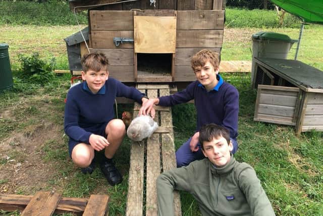Pupils at Windlesham House School in Pulborough with the new chickens. Credit: Windlesham House School SUS-210614-151455001