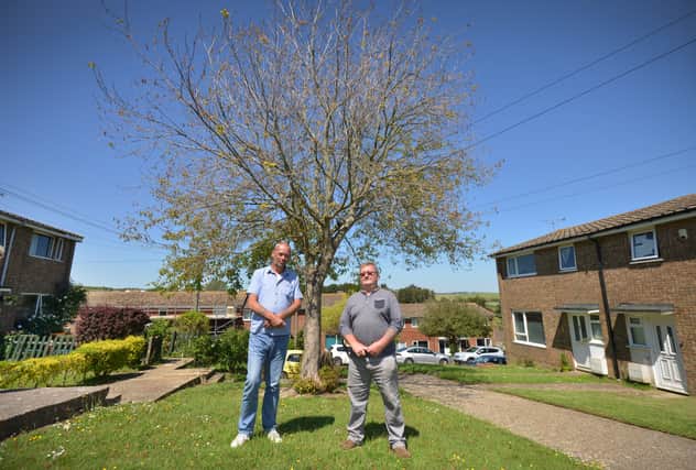 L-R: Michael Back and Mick Matthews with the tree in Dallington Close, Pebsham. SUS-210906-151428001