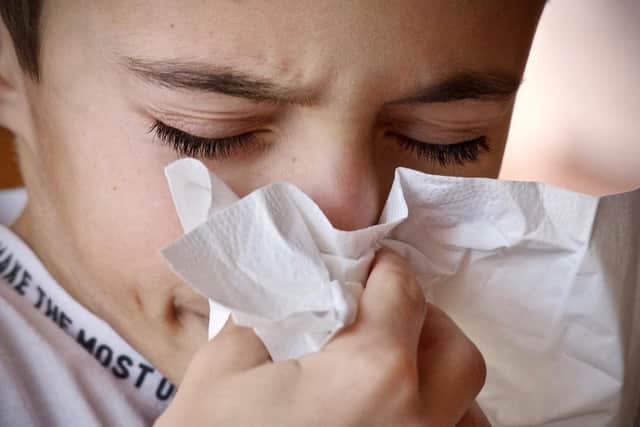 Hay fever can cause a runny nose, itchy eyes and sneezing