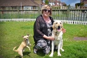 Dawn Penney with her guide dog Mr Miller in Sidley, Bexhill.
Also pictured is Louie. SUS-210531-070224001