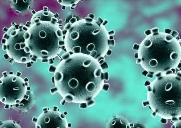 Coronavirus figures for Arun revealed