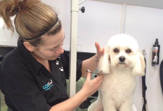 Caroline Donoghue at work as a dog groomer, doing what she loves