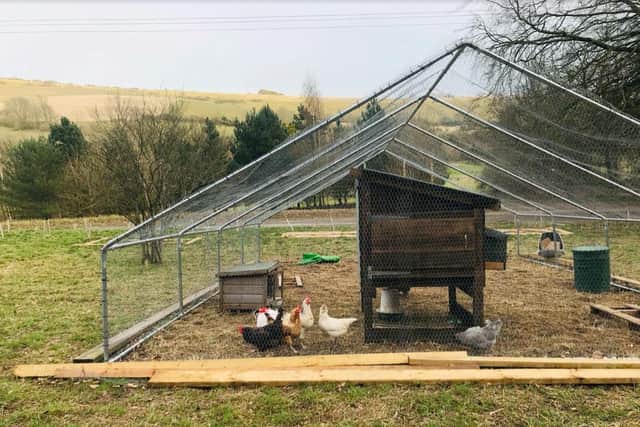 Five new chickens at Windlesham House School are living in a coop made from reclaimed materials. Credit: Windlesham House School SUS-210614-151505001