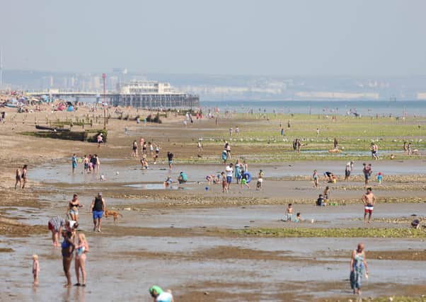Adur and Worthing Councils plan to lease the seabed from the Queen