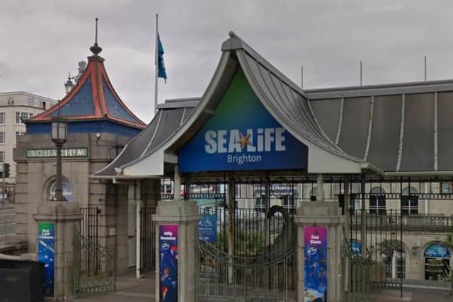 Pirates Deep was located just along from what is now the Sealife Centre in Brighton. Did you ever go there? Picture: Google Maps.