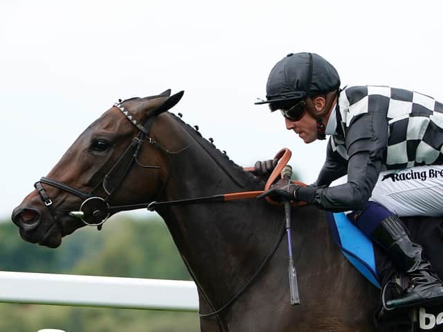 Jim Crowley and Lavender Blue / Picture: Getty