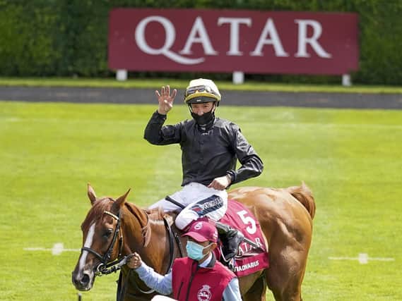 Stradivarius and Frankie Dettori after the super stayer's fourth Goodwood Cup win last year / Picture: Getty