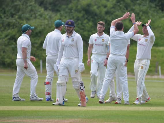 Haywards Heath CC celebrate taking a wicket in their draw at Hastings & St Leonards Priory CC. Pictures by Justin Lycett