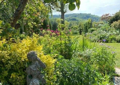 Steyning in Bloom has gathered a wonderful collection of gardens, small and large, some with specialist plants, some with great views of the Downs or Truleigh Hill
